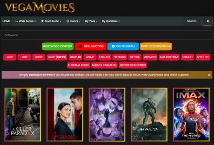 Discover: Vegamovies & Alexa Vega - Where to Watch & Stream Now