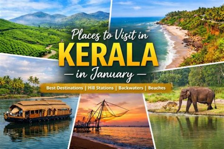 Exploring mallu videos.org: Your Guide to Kerala's Digital Scene