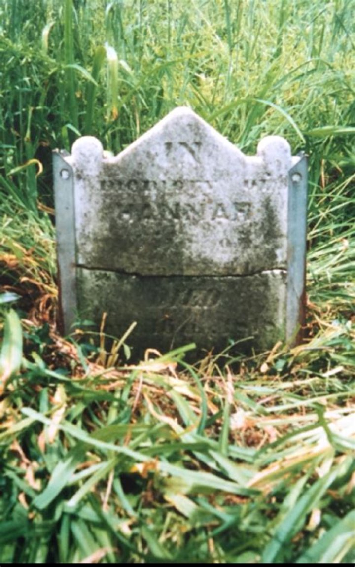 Hannah Wilcox Ricketts