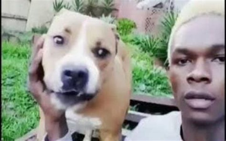 The Heartwarming Moment: Exploring the Israel Adesanya Dog Video That Captured the Internet