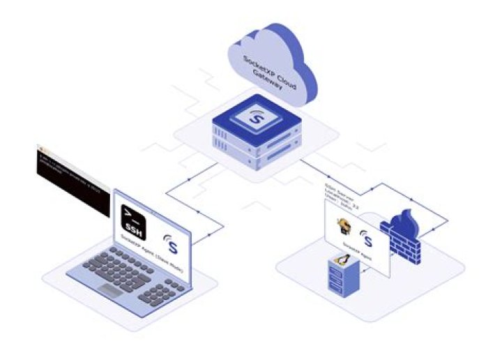 The Quest for the **Best Remote IoT Web SSH** Solution Today